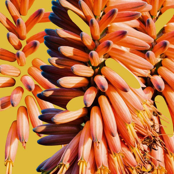 Sampology, Charlie Hill – Galaxy 12"