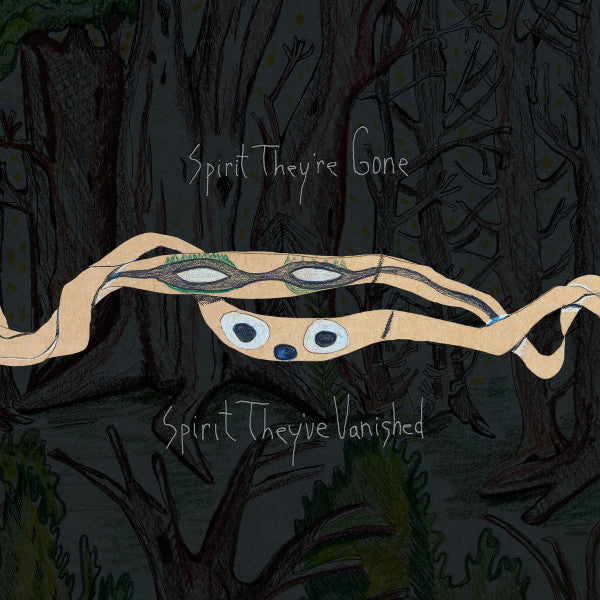 Animal Collective – Spirit They're Gone Spirit They've Vanished CD