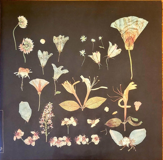Leaving Laurel – When The Quiet Comes (Cream) 2LP