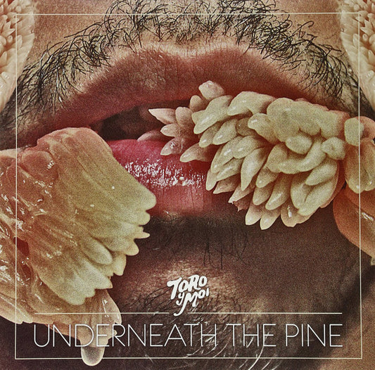 Toro Y Moi – Underneath The Pine LP