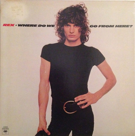 Rex – Where Do We Go From Here? LP