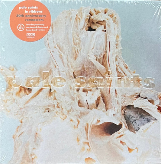 Pale Saints - In Ribbons