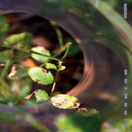 Jonny From Space – Back Then I Didn't But Now I Do 12"