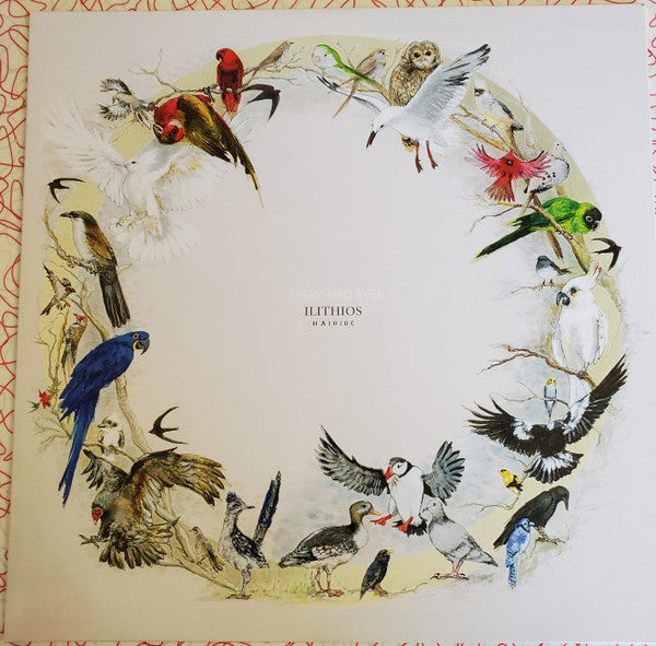 Ilithios – Every Bird Ever LP
