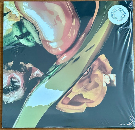 Pablo's Eye – The Light Was Sharp, Our Eyes Were Closed LP