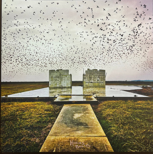 Lord Buffalo - Holus Bolus (Green/gold merge vinyl) LP
