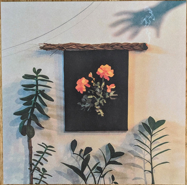 Why? – The Well I Fell Into (Coke Bottle Clear [Her Shadow]) LP