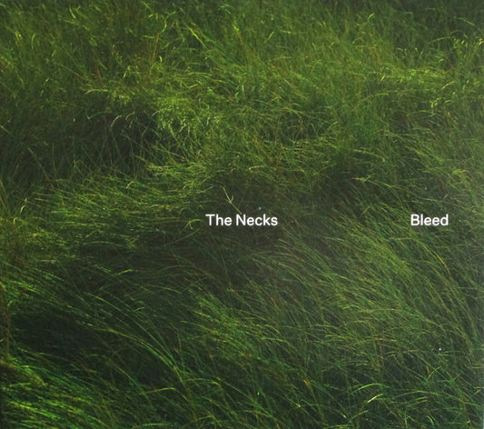 The Necks – Bleed