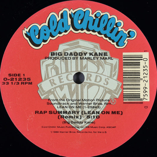 Big Daddy Kane - Rap Summary 12"