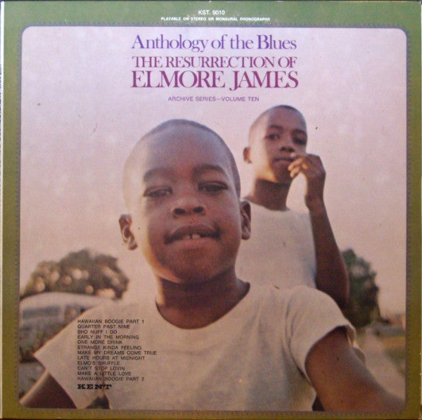 Elmore James – The Resurrection Of Elmore James LP