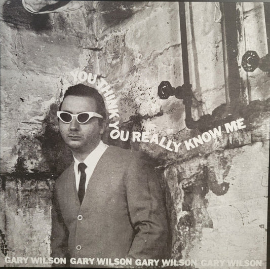 Gary Wilson – You Think You Really Know Me (Foil Edition) LP