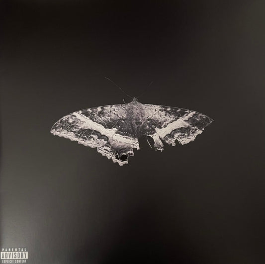 Kendrick Lamar – To Pimp A Butterfly (Metallic Blends 10th Anniversary) 2LP
