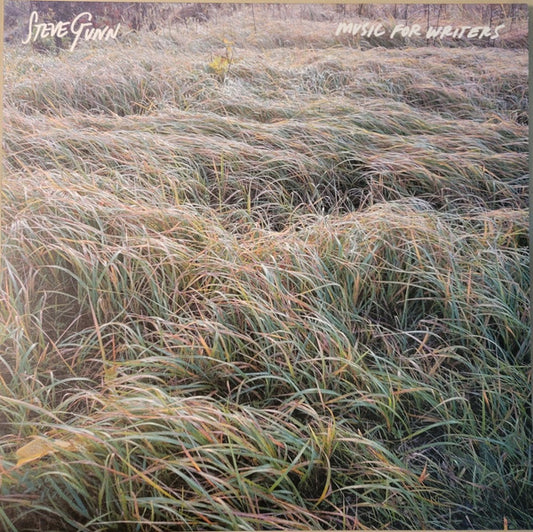 Steve Gunn - Music For Writers