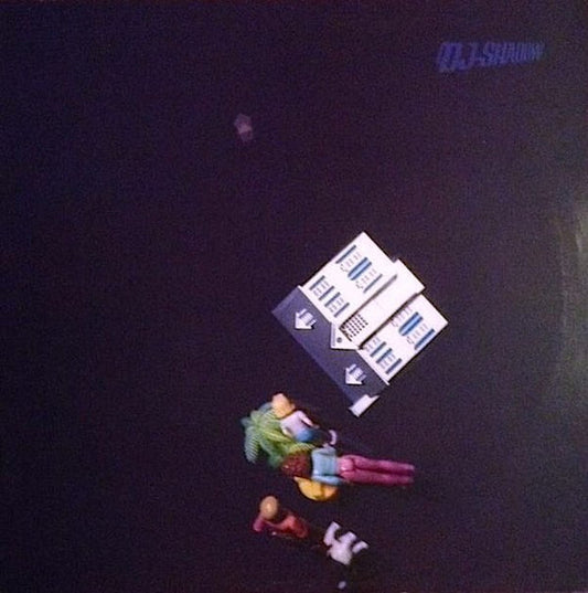 DJ Shadow – Midnight In A Perfect World 12"