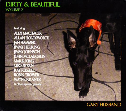 Gary Husband – Dirty & Beautiful Volume 2