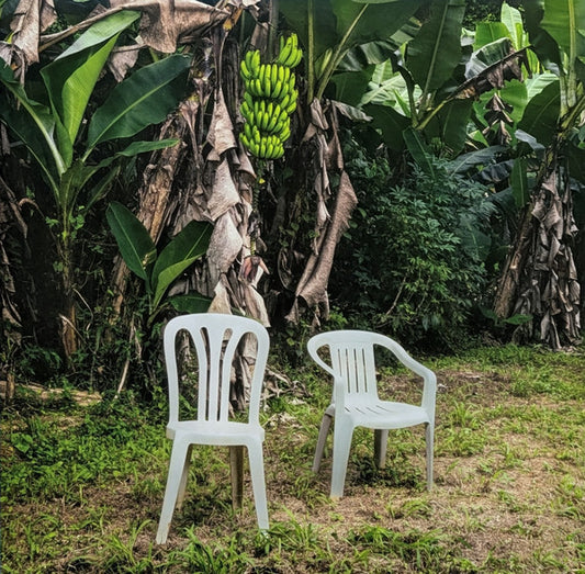 Bad Bunny – Debí Tirar Más Fotos (White) 2LP