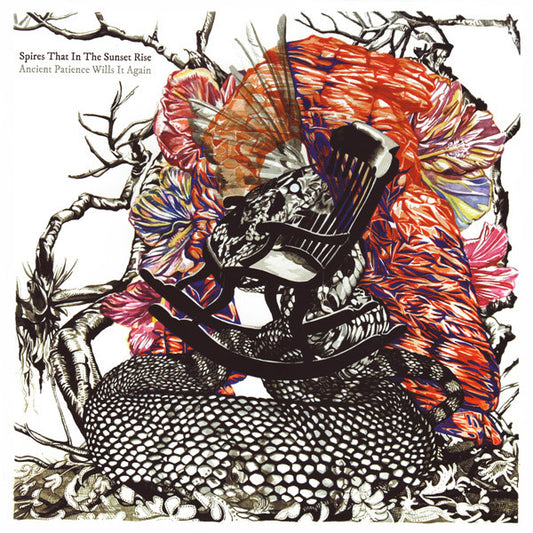 Spires That In The Sunset Rise – Ancient Patience Wills It Again LP