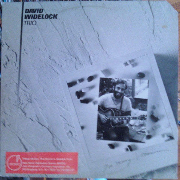 David Widelock Trio – Too Many Vitamins LP