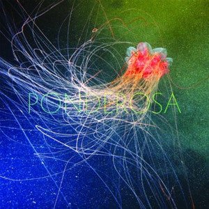 Ponderosa – Pool Party LP