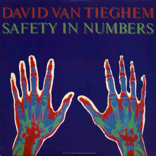 David Van Tieghem – Safety In Numbers LP
