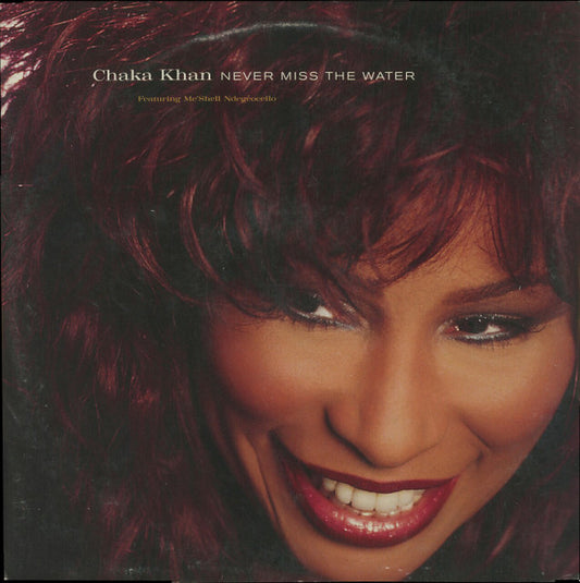 Chaka Khan Featuring Me'Shell NdegéOcello – Never Miss The Water 2x12"