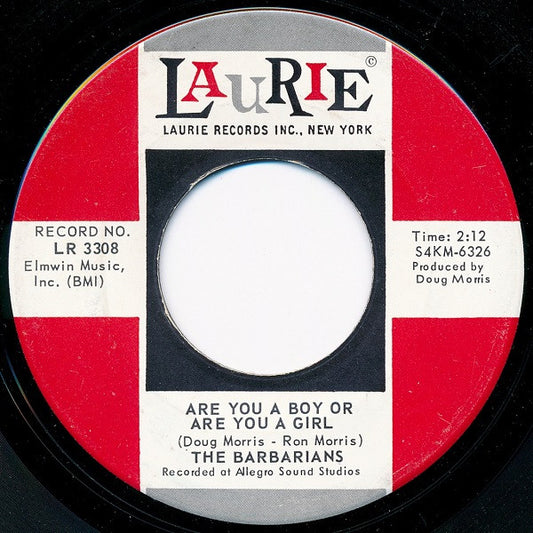 The Barbarians – Are You A Boy Or Are You A Girl 7"