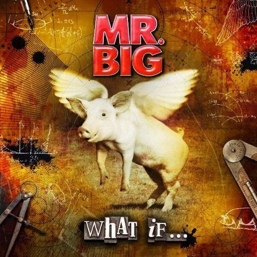 Mr. Big – What If... CD