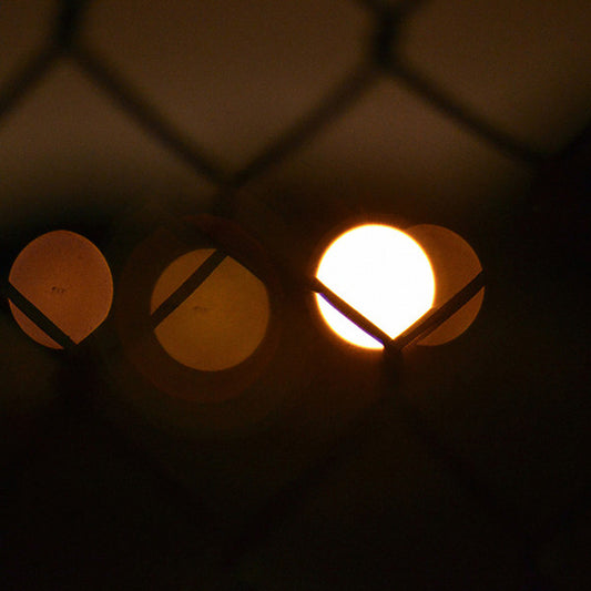 Fluxion – Vibrant Forms LP