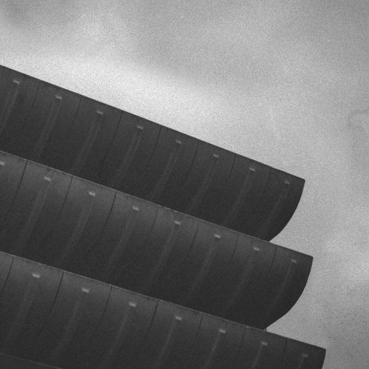 Rainer Veil - New Brutalism LP