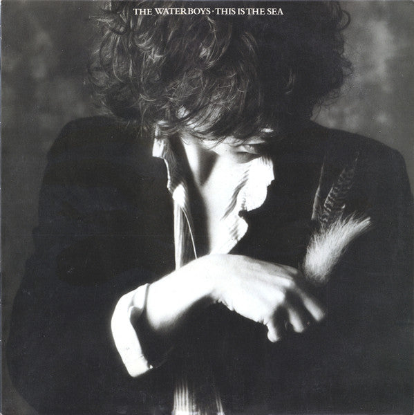 The Waterboys – This Is The Sea LP