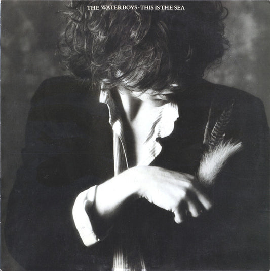The Waterboys – This Is The Sea LP
