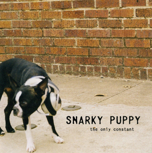 Snarky Puppy – The Only Constant CD