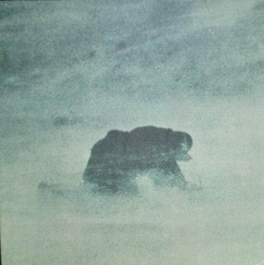 Villages – Procession Acts LP