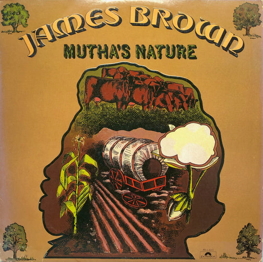 James Brown - Mutha's Nature LP