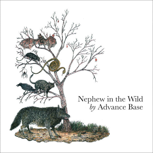 Advance Base ‎– Nephew In The Wild (Lavender vinyl) LP
