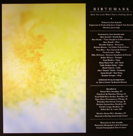 Birthmark – How You Look When You're Falling Down 180g LP
