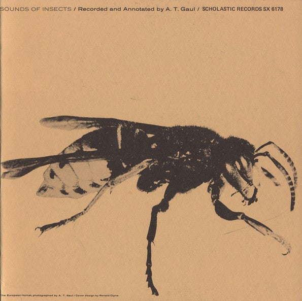 A. T. Gaul – Sounds Of Insects LP