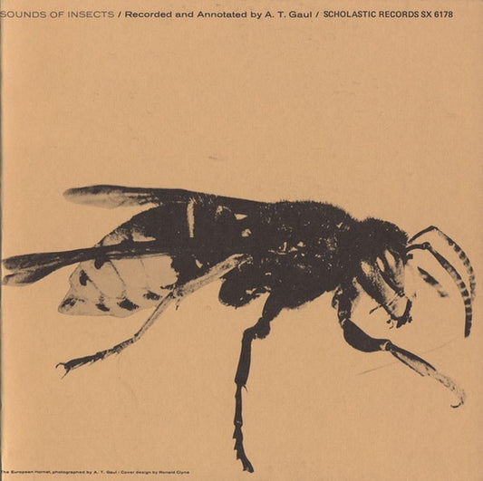 A. T. Gaul – Sounds Of Insects LP