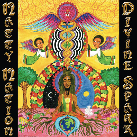 Natty Nation – Divine Spark LP