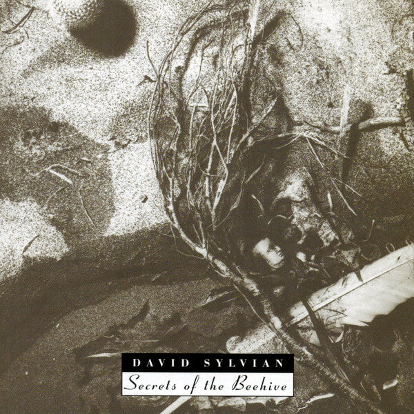 David Sylvian – Secrets Of The Beehive CD