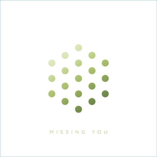 LSB – Missing You / Tumult 12"