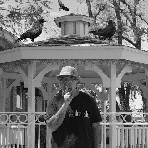 Eddy Detroit – Black Crow Gazebo LP