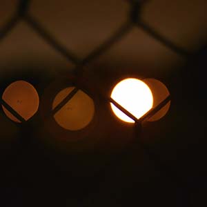 Fluxion - Vibrant Forms