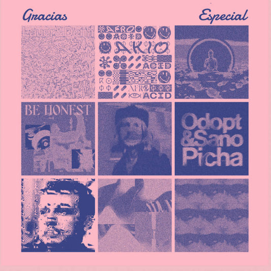 Various - Gracias Especial