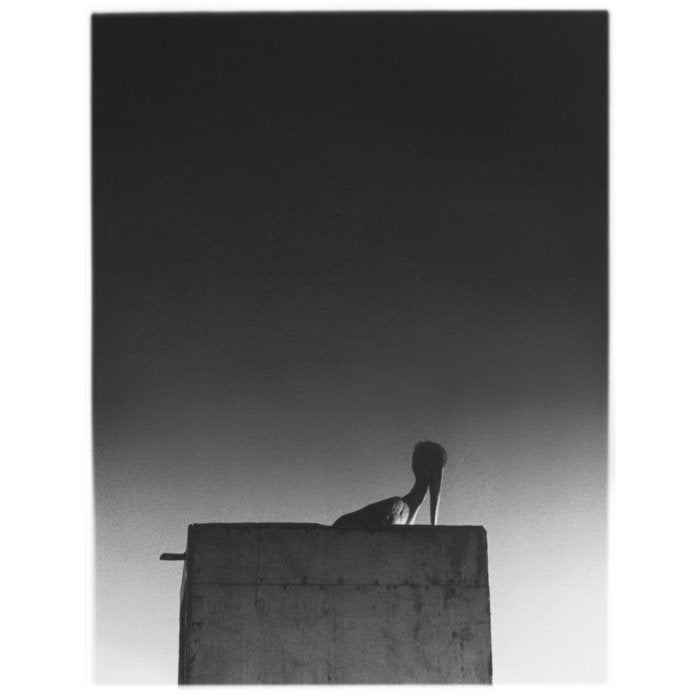 Ø - Sysivalo (2LP+CD)