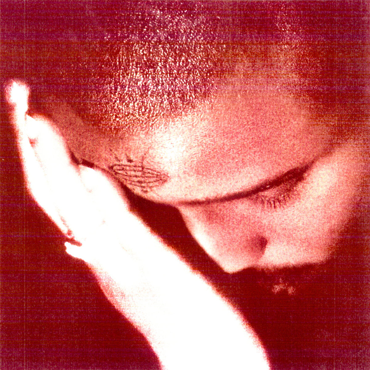 Nourished by time – The Passionate Ones