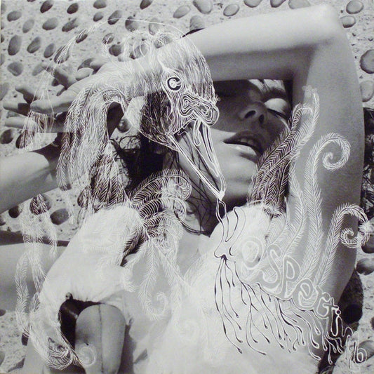 Bjork - Vespertine [Import]