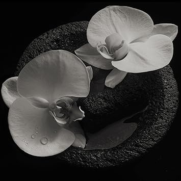 Mike Patton - Corpse Flower