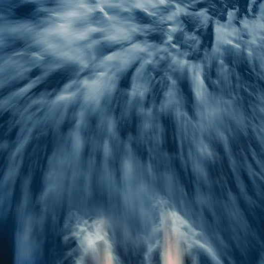 S. CAREY / RAYMOND,JOHN - SHADOWLANDS