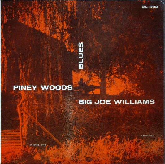 Big Joe Williams - Piney Woods Blues LP